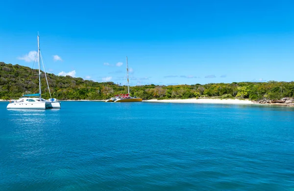 Caraïbes Antigua Baie Des Îles Vertes Vue Mer — Photo