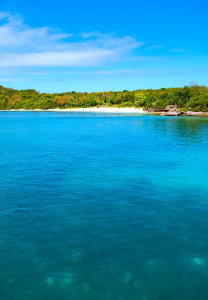 加勒比岛屿 安提瓜 从海上看到的绿岛湾 — 图库照片