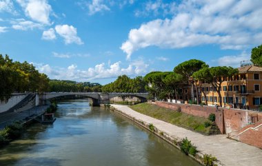 İtalya, Roma, Tiber nehrinin panoramik manzarası, Tiberina adası sağda.
