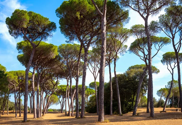 İtalya, Roma, Villa Doria Pamphili Parkı