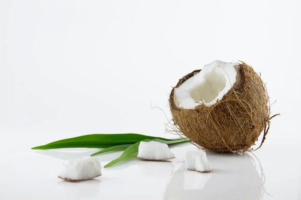 Ripe and mouth-watering coconut — Stock Photo, Image