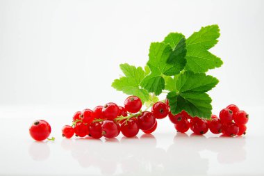 Olgun ve sulu kırmızı kuş üzümü yaprakları ile 