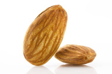 Beyaz arka plan üzerinde izole badem fındık yakın çekim. Sağlıklı gıda, beslenme ve diyet. 