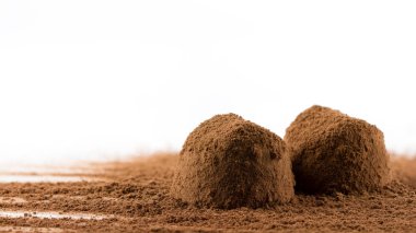 Beyaz arka plan üzerinde izole trüf çikolata ve kakao tozu yakın çekim. 