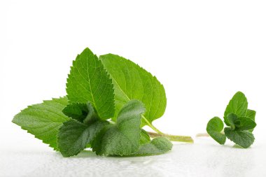Taze ve güzel kokulu nane yaprakları ile su damlaları