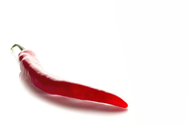 Fresh Red Chili Pepper Close Isolated White Background — Stock Photo, Image