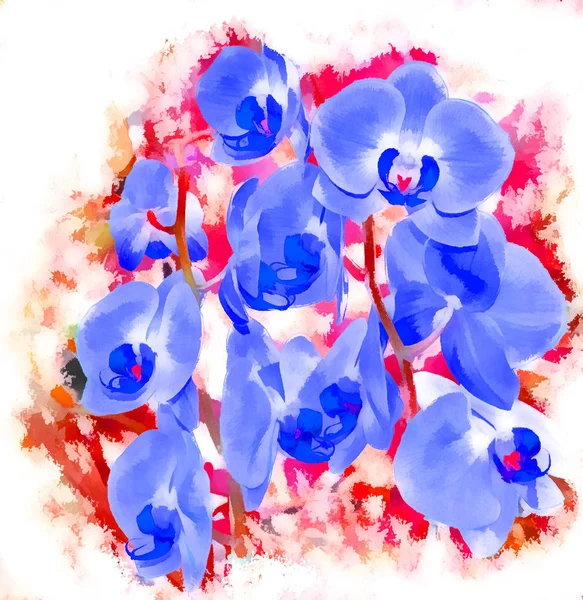 Orchid flowers. The background paint stains. Stylization: watercolor