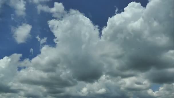 Bílá oblaka plující napříč oblohou — Stock video