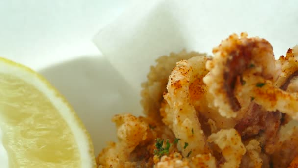 烤的章鱼和鱿鱼圈 — 图库视频影像