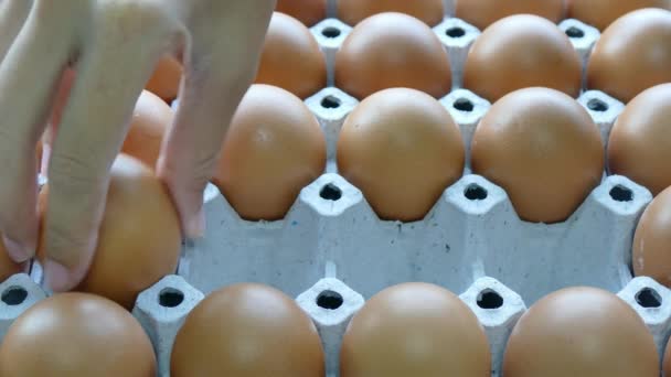 Tomar huevos de cartón a mano — Vídeo de stock
