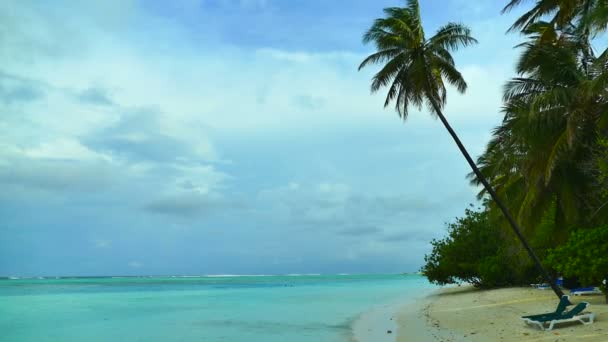 Oceano tropicale con palme ondeggianti nella brezza — Video Stock