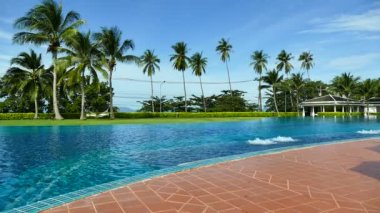 Palmiye ağaçlı yüzme havuzu