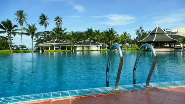 Palmiye ağaçlı yüzme havuzu — Stok video