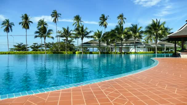 Piscina con palmeras — Vídeos de Stock