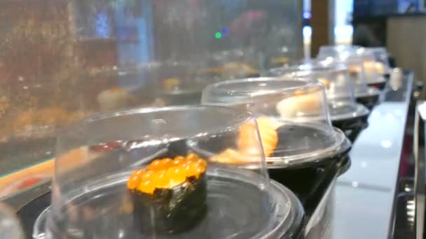 Sushi on conveyor belt — Stock Video