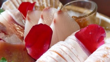 taze sashimi portre