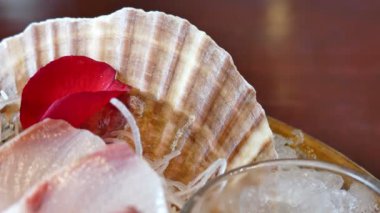 taze sashimi portre