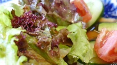 taze sebze ile Somon salata