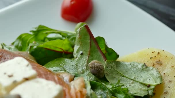 Gerookte zalm salade — Stockvideo