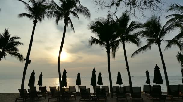 Chaises longues et parasols sur la plage — Video