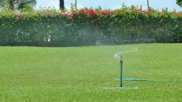 Sparkling water spraying  on the  lawn — Stock Video