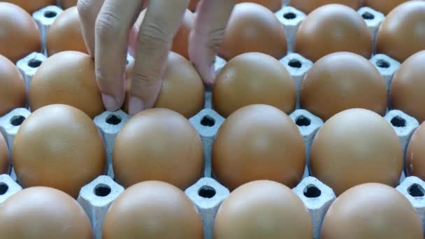 Huevos frescos en una caja — Vídeo de stock