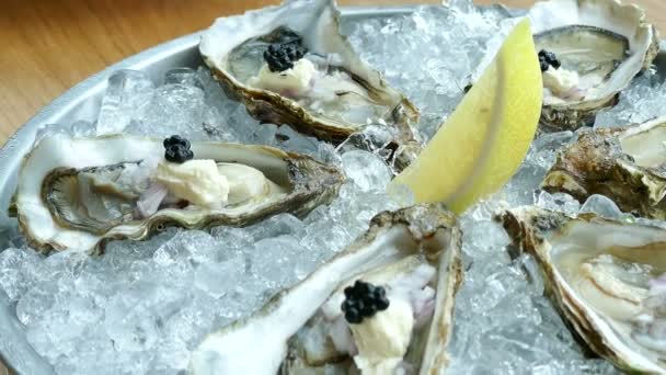 Fresh oyster raw — Stock Video
