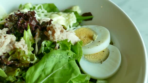 Tonfisksallad med färska grönsaker — Stockvideo