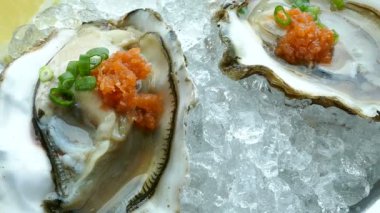 Taze çiğ istiridye.