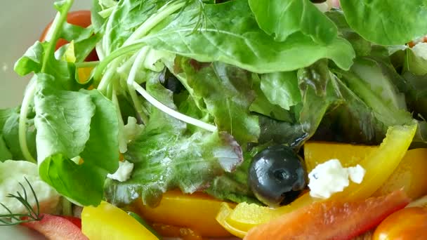 Salada verde fresca — Vídeo de Stock
