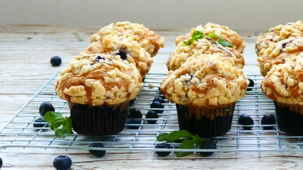 Deliciosos Muffins Caseiros Com Mirtilos Grade — Vídeo de Stock