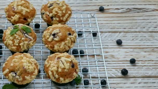 Leckere Hausgemachte Muffins Mit Blaubeeren Auf Metallgitter — Stockvideo