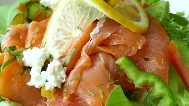 Gerookte zalm salade — Stockvideo