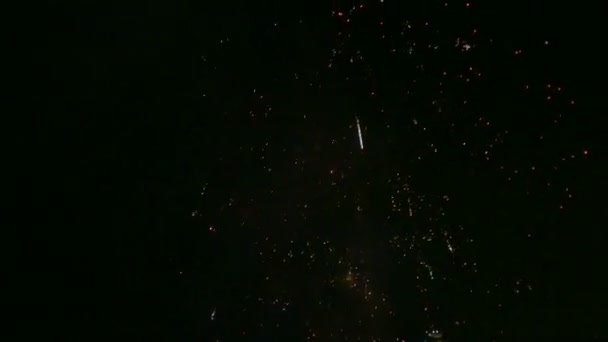 Video Fuochi Artificio Colorati Che Brillano Nel Cielo Notturno Drak — Video Stock