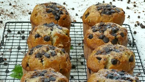 Deliciosos Muffins Caseiros Com Gotas Chocolate Grade Metal — Vídeo de Stock