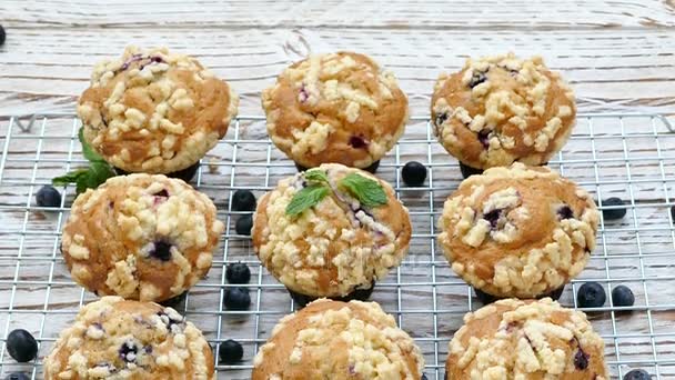 Leckere Hausgemachte Muffins Mit Blaubeeren Auf Metallgitter — Stockvideo