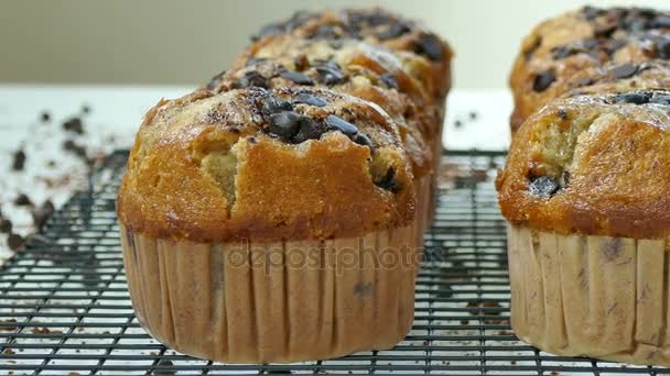 Läckra Hembakade Muffins Med Choklad Droppar Metallgaller — Stockvideo