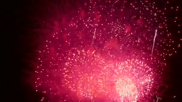 Video Fuochi Artificio Colorati Che Brillano Nel Cielo Notturno Drak — Video Stock