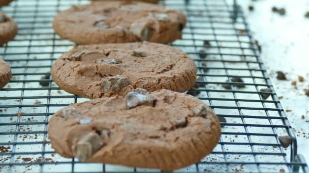 Deliciosas Galletas Caseras Con Gotas Chocolate Rejilla Metálica — Vídeos de Stock