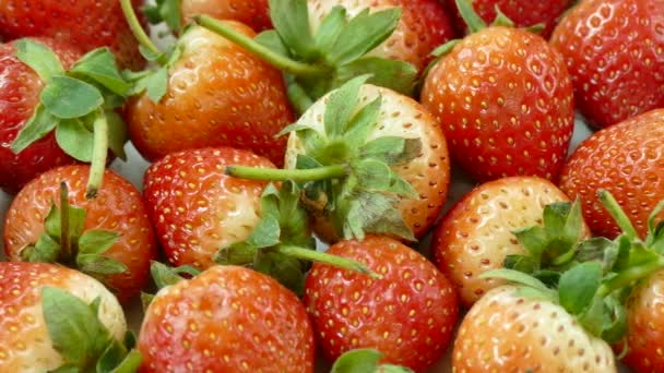 Pile Fraise Fraîche Fond Alimentaire Vidéo — Video