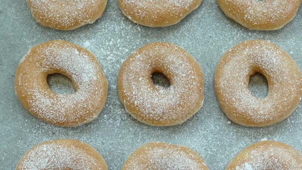 Frisch Gebackene Süße Hausgemachte Donuts Video — Stockvideo