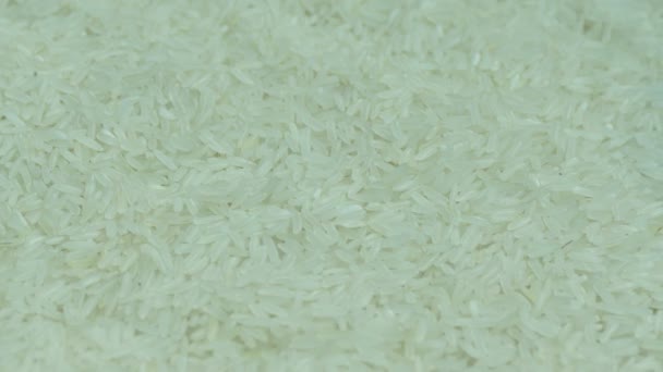 Pile Raw Rice Closeup Video — Stock Video