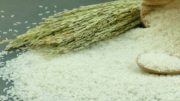 Kupie Surowego Ryżu Drewnianą Łyżką Torba Worze Wideo — Wideo stockowe