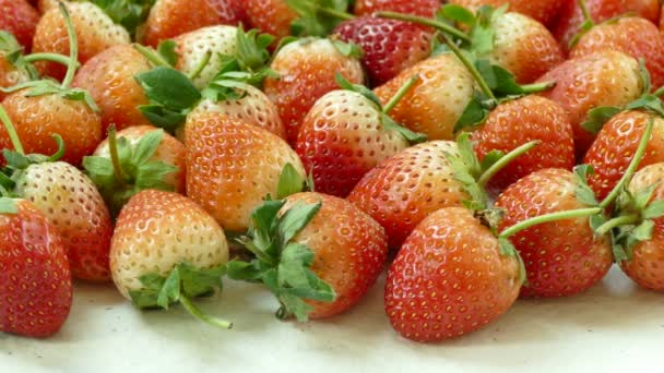 Pile Fresh Strawberry White Background Video — Stock Video