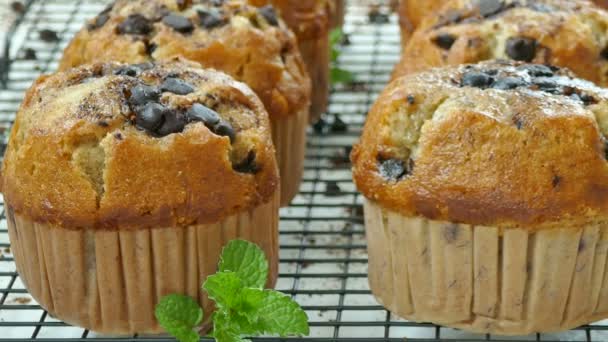 Délicieux Muffins Faits Maison Aux Myrtilles Sur Grille Métallique — Video