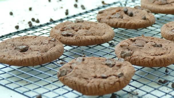 Délicieux Biscuits Faits Maison Avec Des Gouttes Chocolat Sur Grille — Video