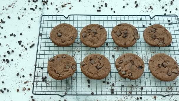 Delicious Homemade Cookies Chocolate Drops Metal Grid — Stock Video