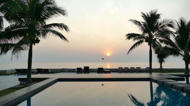 Pôr Sol Vista Piscina Com Palmeiras — Vídeo de Stock