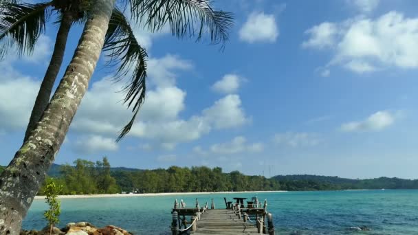 Palmiye Ağacı Ahşap Köprü Ile Tropikal Plaj — Stok video