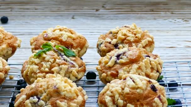 Leckere Hausgemachte Muffins Mit Blaubeeren Auf Metallgitter — Stockvideo